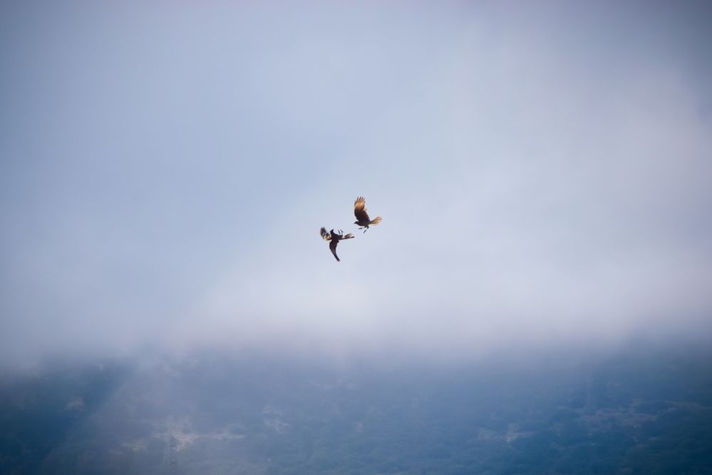 Photograph by Fernando Gabriel Castro Ortiz