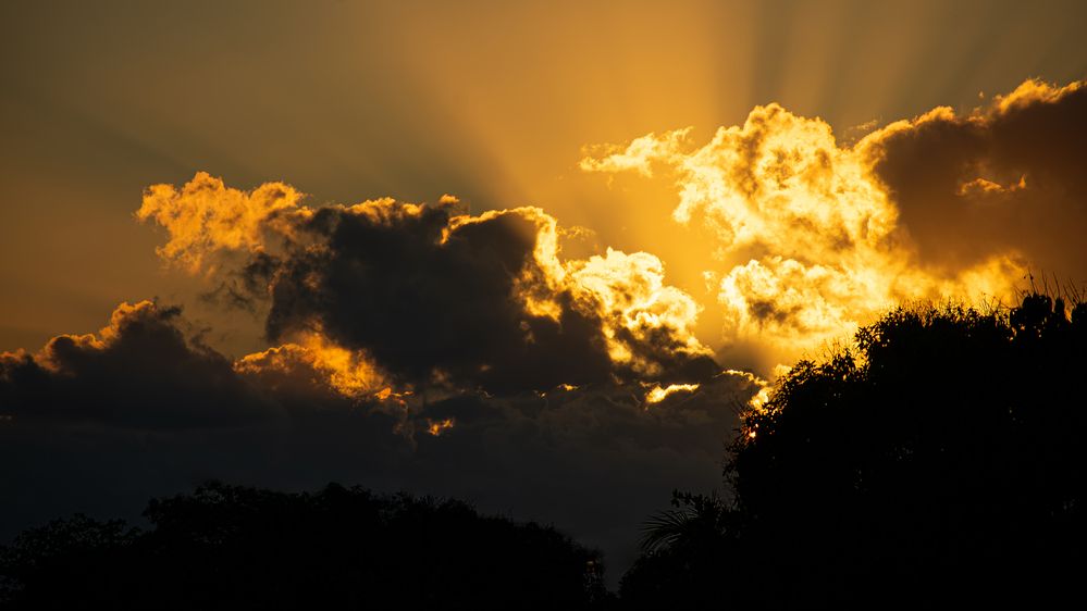 Photograph by Alberto Debs Rosales