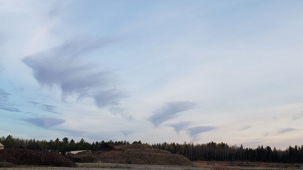 Photograph by Dennise Treijs