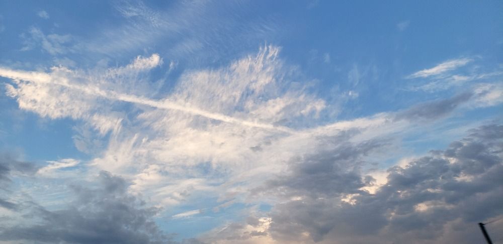 Photograph by Dennise Treijs