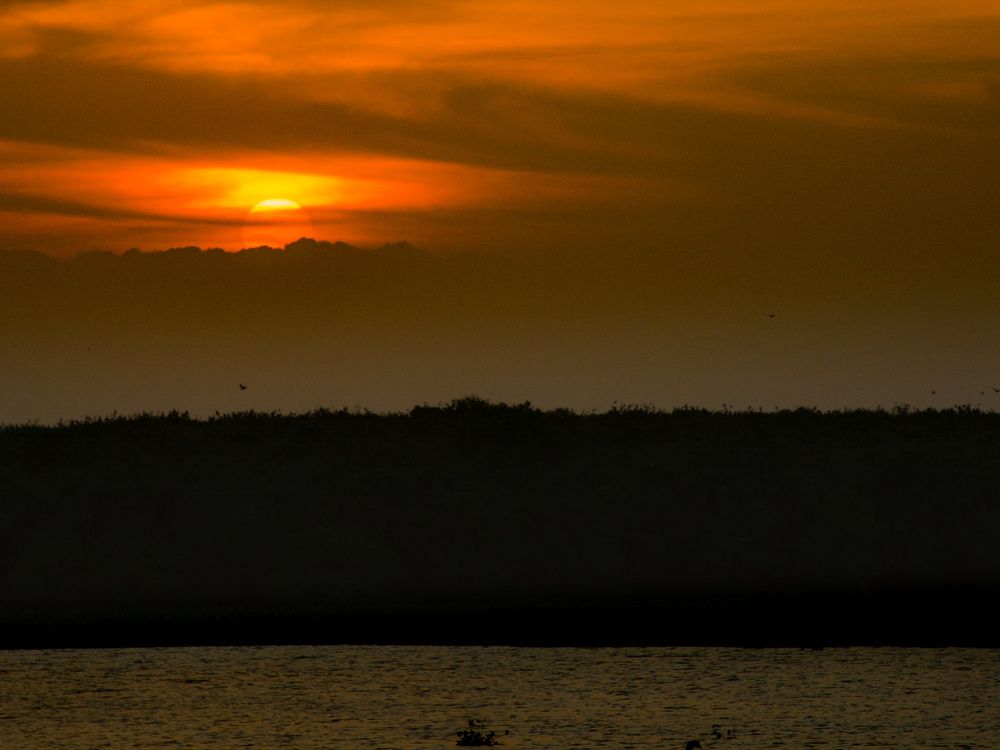 Photograph by Suthakaran Gokulananthan