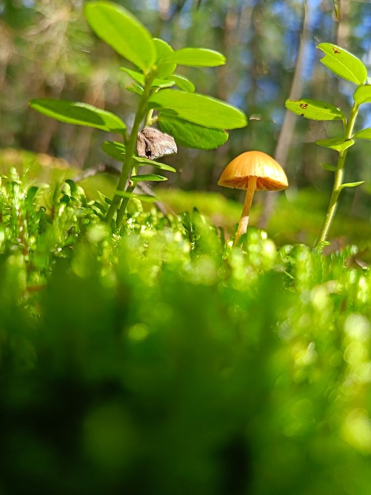 Photograph by Воронова Светлана