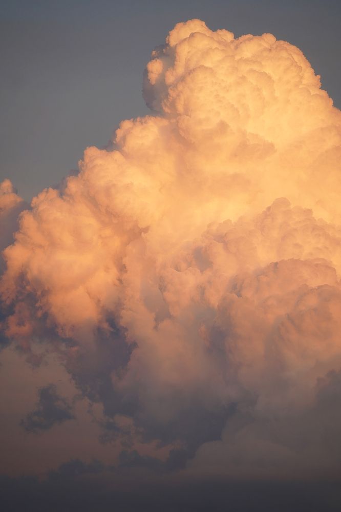 Photograph by Liliana Grup