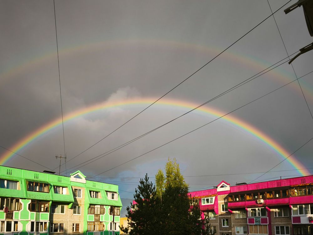 Photograph by Марина Опарина