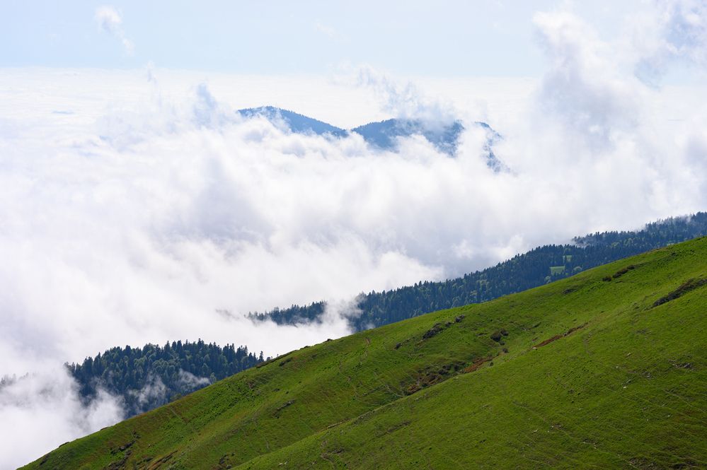 Фотография автора Ольга Степанова