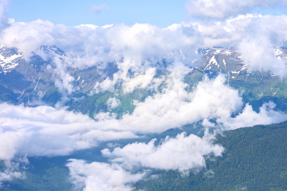 Фотография автора Ольга Степанова