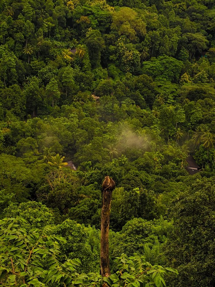 Photograph by Daya Tips