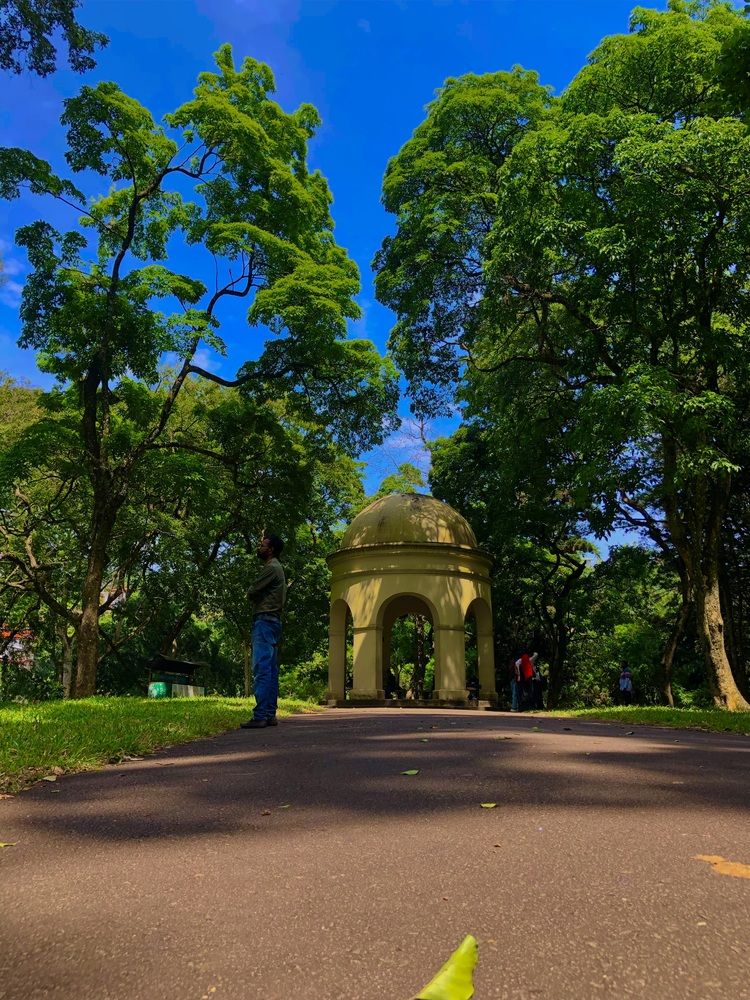 Photograph by Daya Tips
