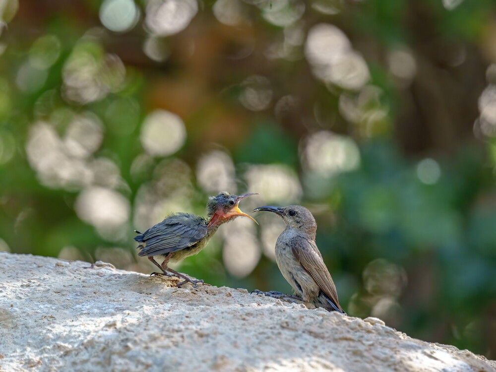 Photograph by Шварцман Евгений