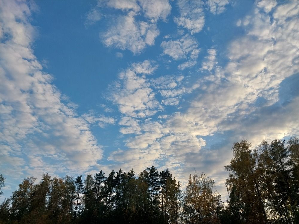 Photograph by Олеся Матвеева