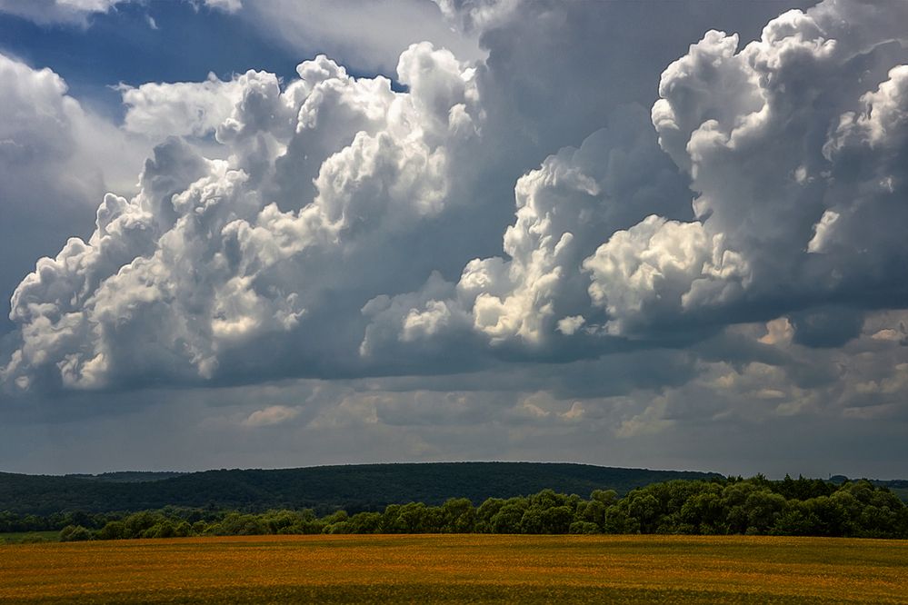 Photograph by Александр Шипиленко