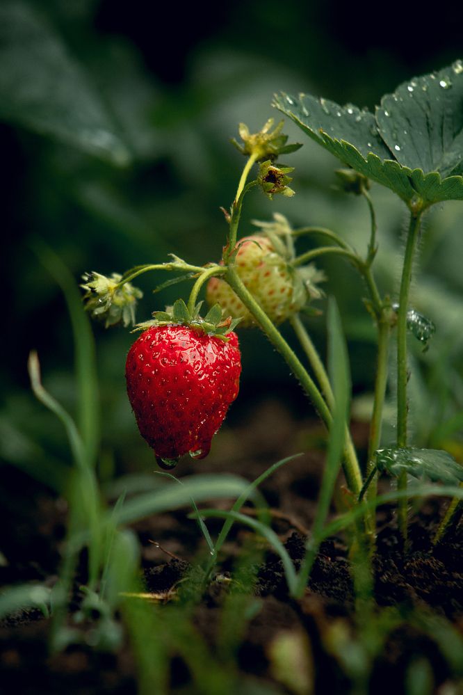 Photograph by Александр Слепцов