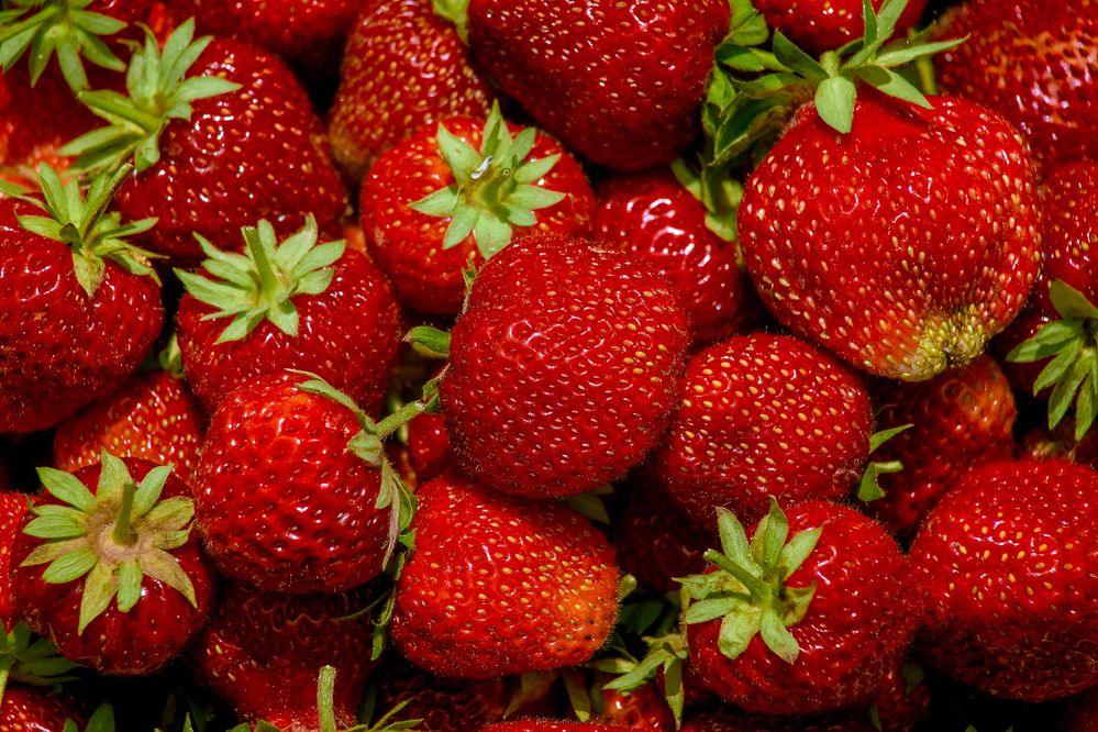 Photograph by Александр Слепцов