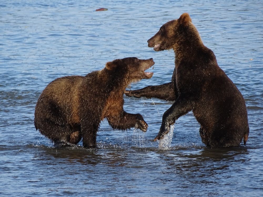 Photograph by ELVIRA LUNEVA