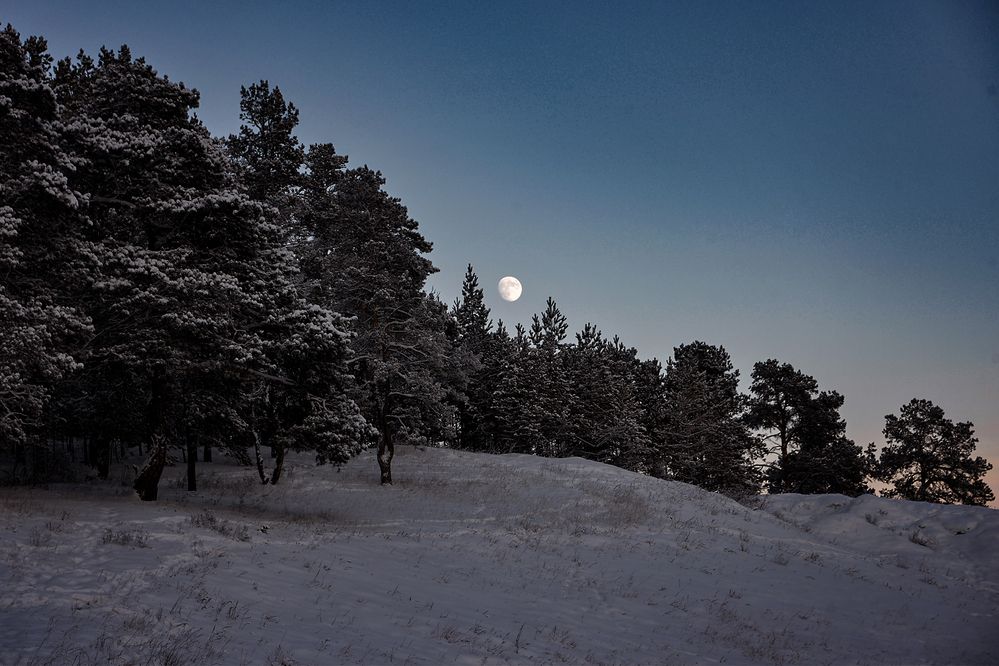 Photograph by Александр Шипиленко