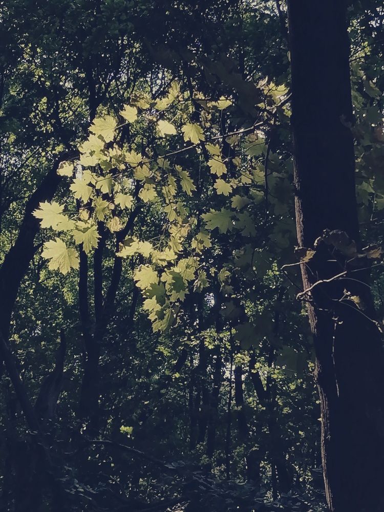 Photograph by Алексей Титков