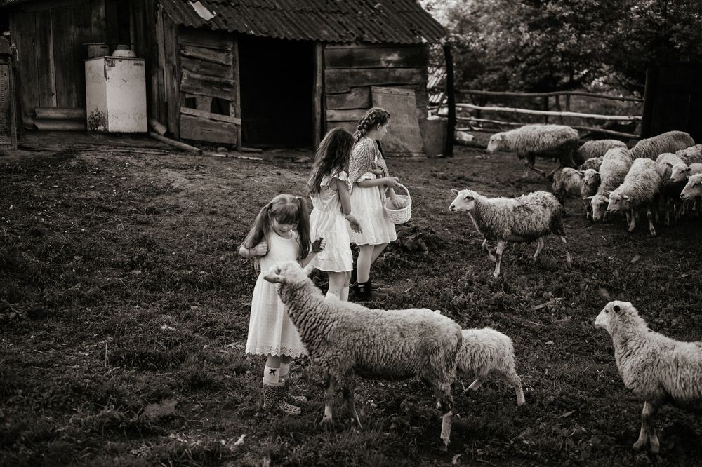 Фотография автора Анастасия Потёмкина