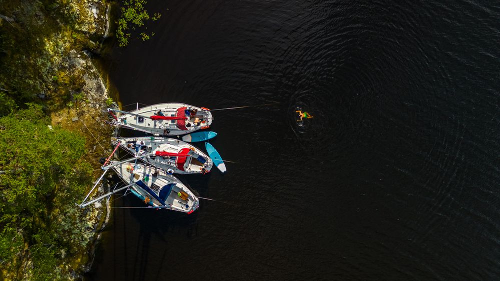 Photograph by Eliseev Nikolay