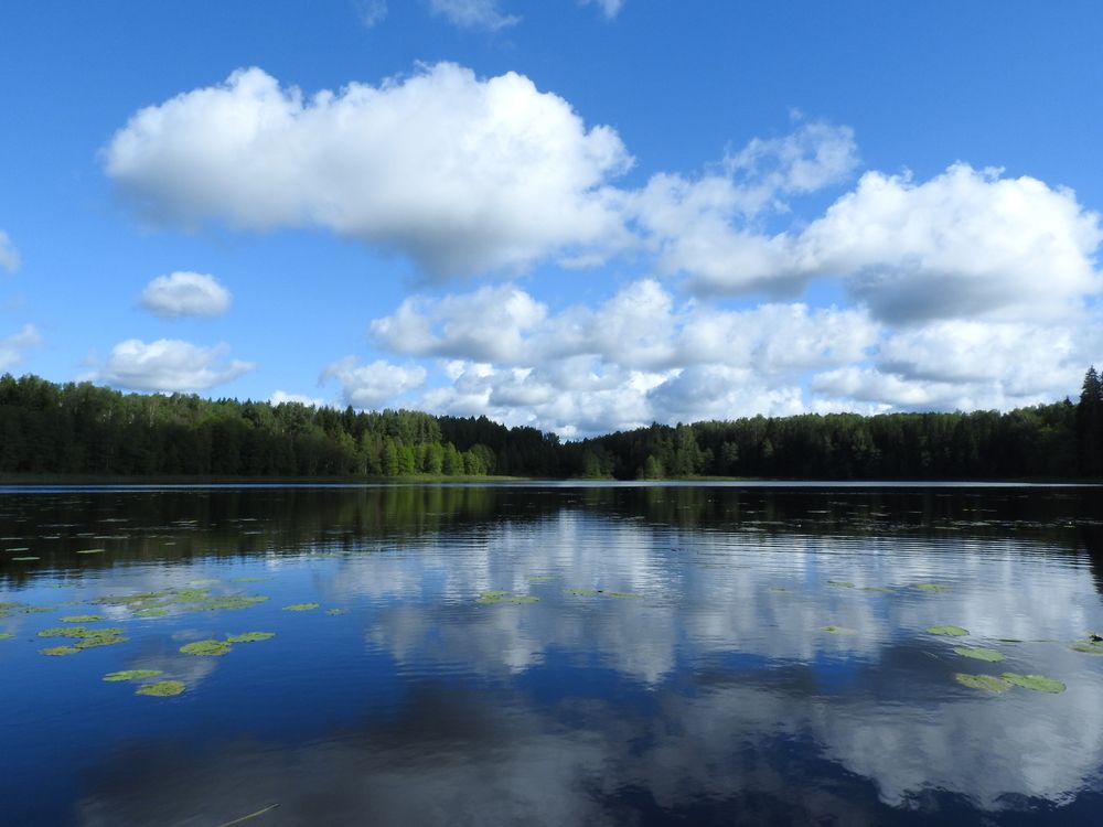 Фотография автора YURY RAMITSAN