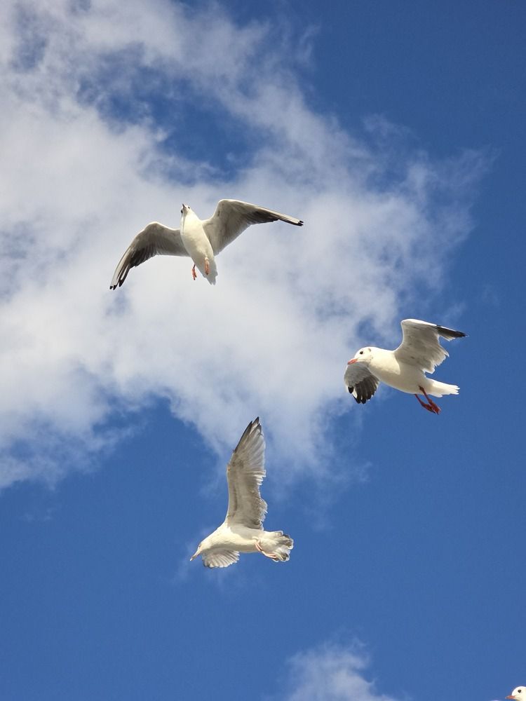 Photograph by Наталья Трофимова