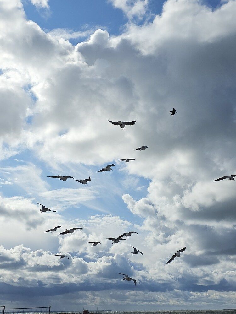 Photograph by Наталья Трофимова