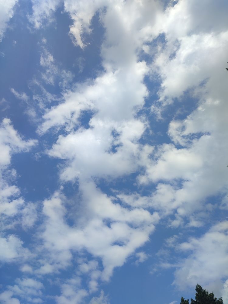 Photograph by Александр Борисович Шкурат