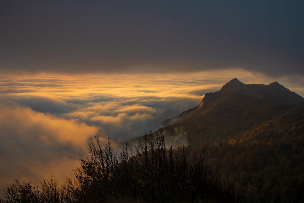 Photograph by Дина Железнова