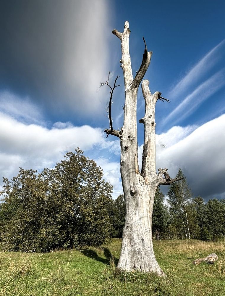 Photograph by Титаренко Людмила