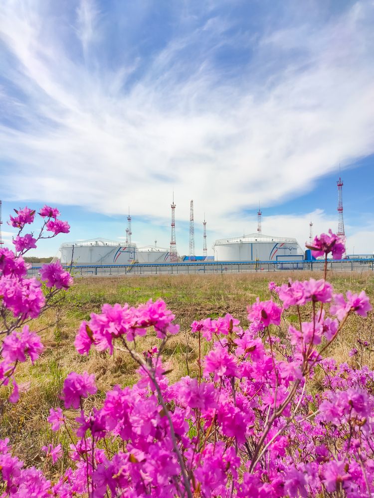 Photograph by Александр Коваль