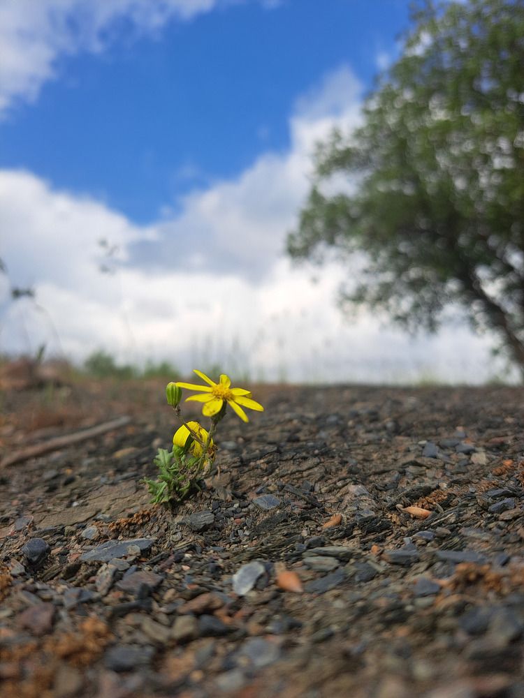 Photograph by omid zarei