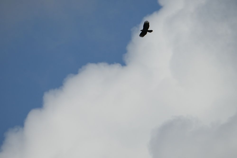 Photograph by Михаил Трусов