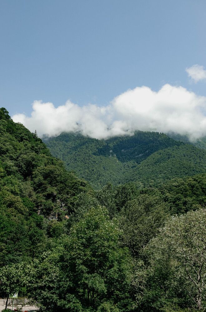 Photograph by Дарья Овчинникова