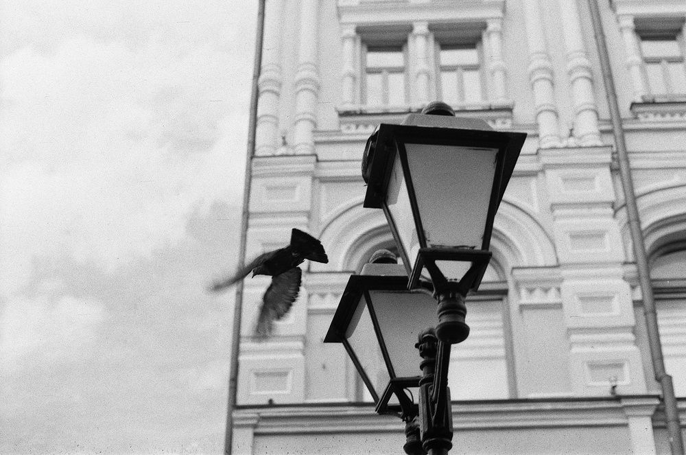 Photograph by Юлия Фомина