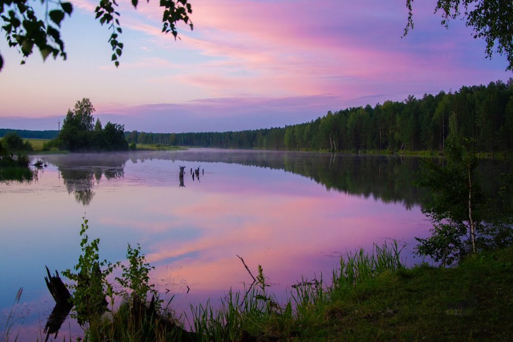 Photograph by Дмитрий Анисимов