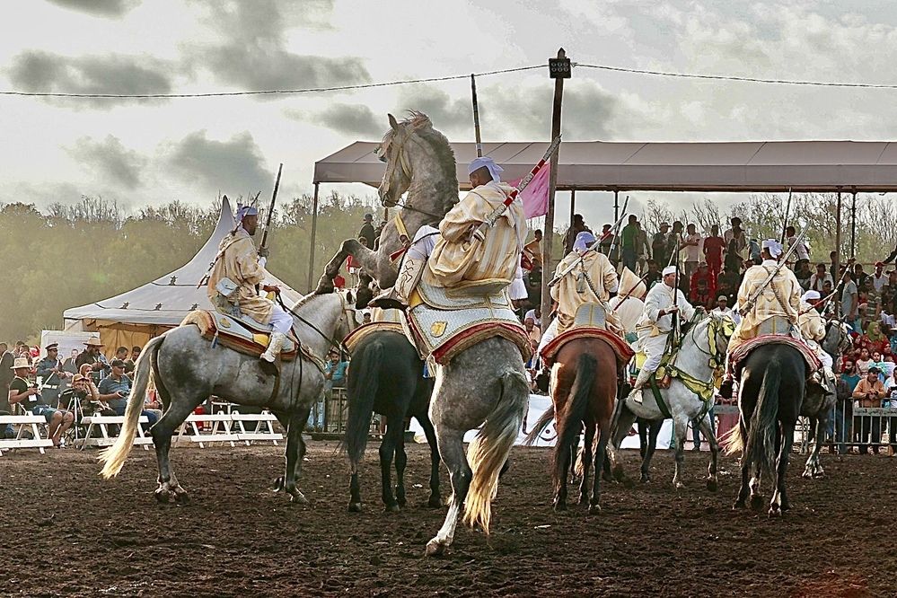 Photograph by Said Abdallah BOUSLAM