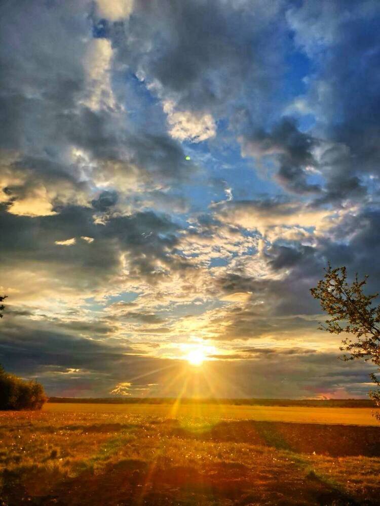 Photograph by Наташа Б.