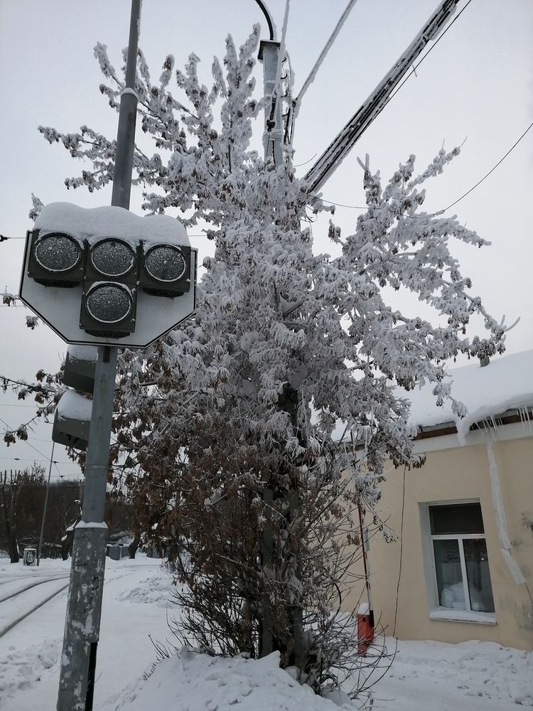 Photograph by Наталия