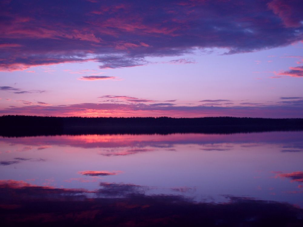 Photo #12516156