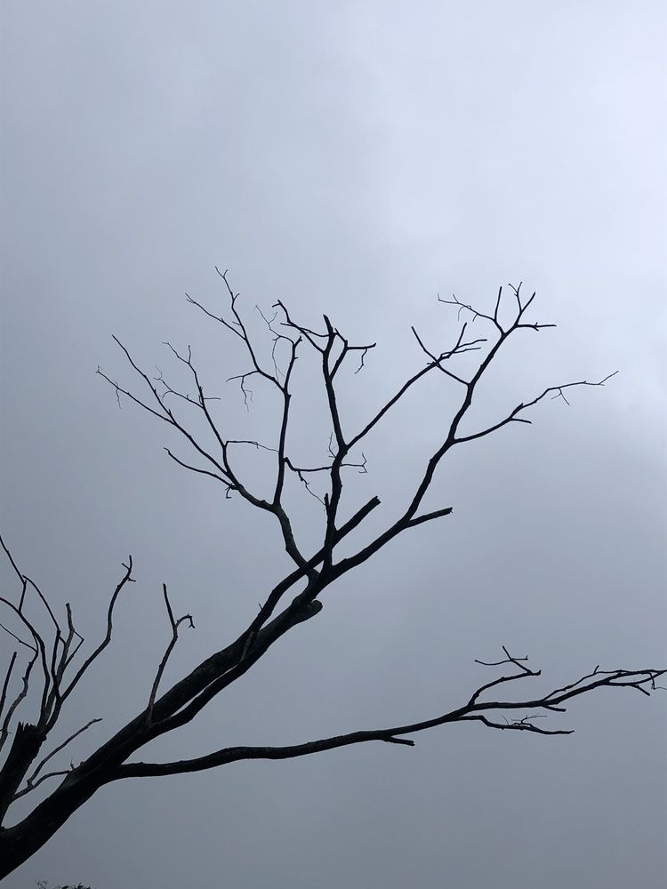 Photograph by Daya Tips