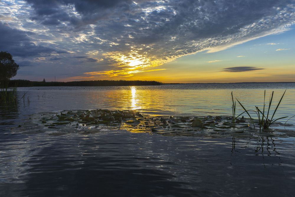 Фотография автора Вадим Копилец