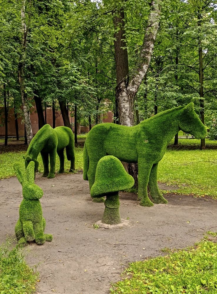 Photograph by Sergey Kurkov-Tarkovsky