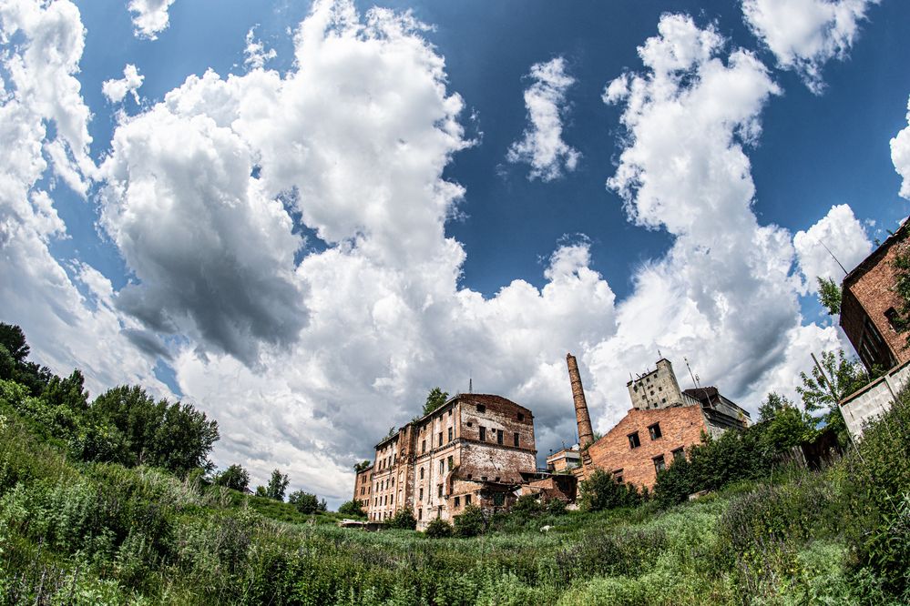 Photograph by Дмитрий Анисимов