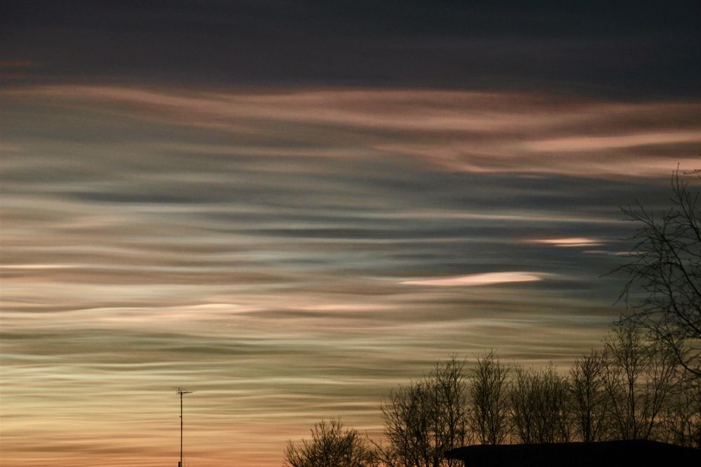 Фотография автора Светлана Терехова