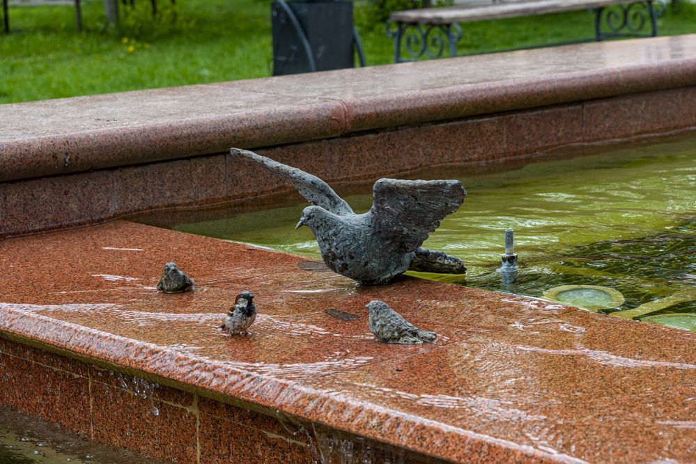 Photograph by Александр Шульга