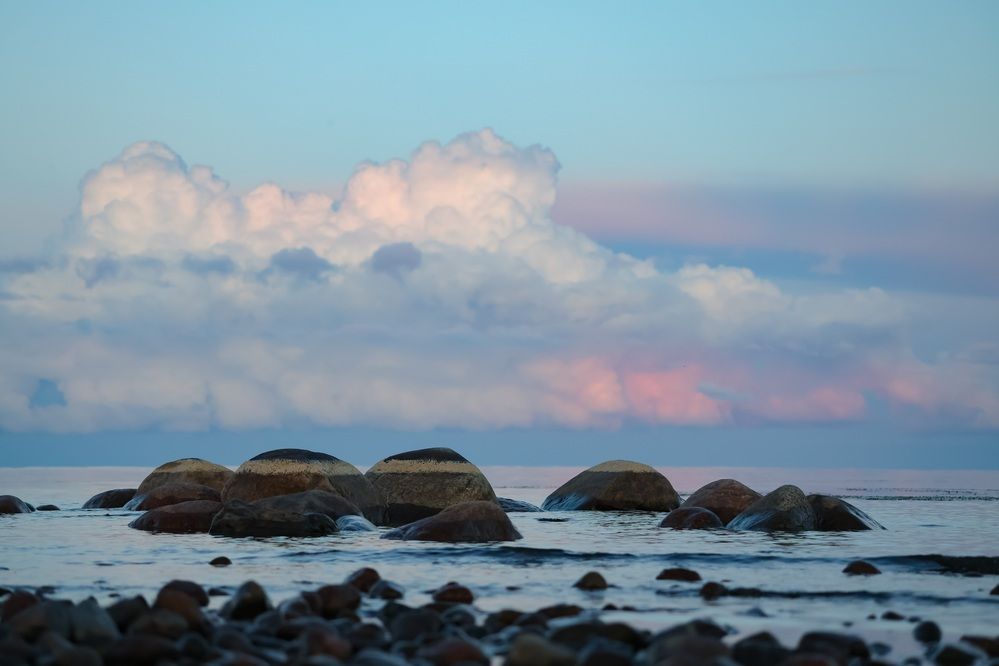 Photograph by Анастасия Алтабаева