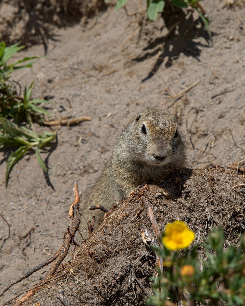 Photograph by Елена Бородина
