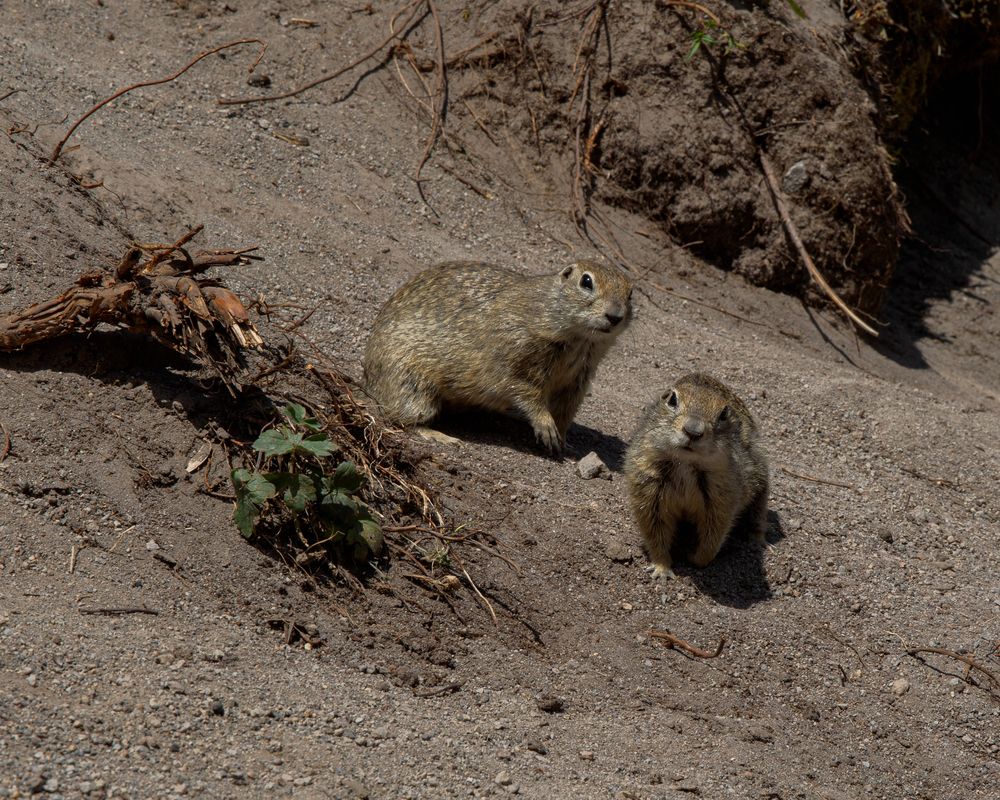 Photograph by Елена Бородина