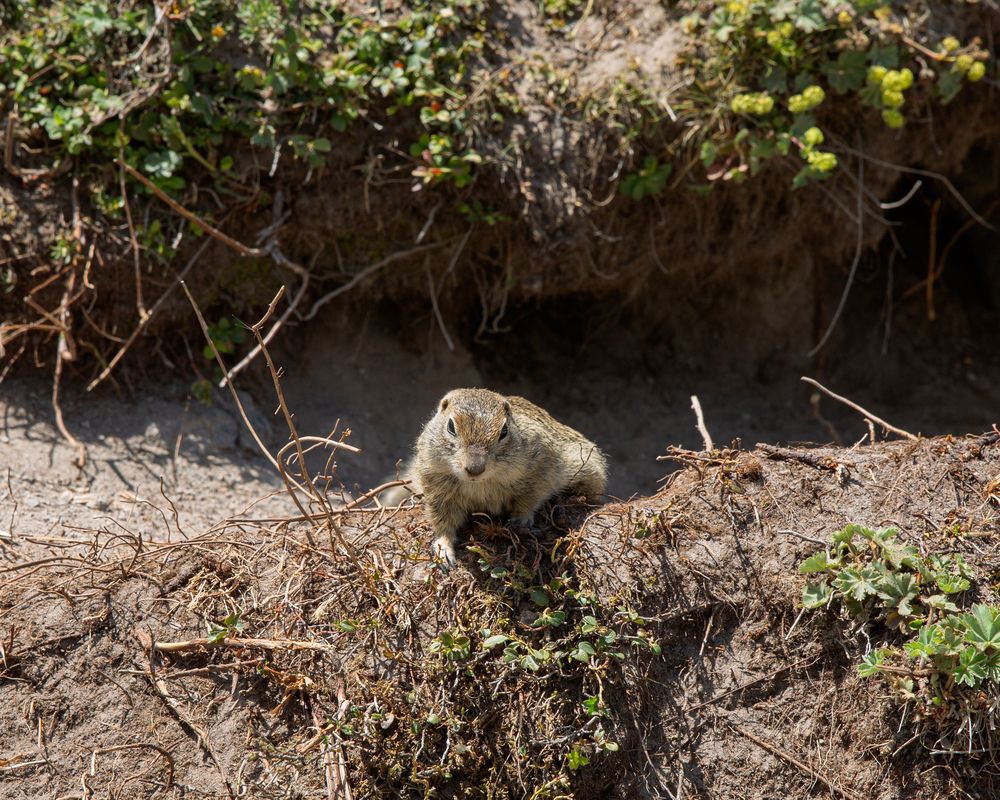 Photograph by Елена Бородина