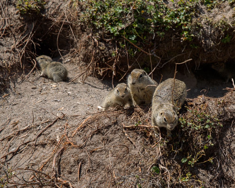 Photograph by Елена Бородина