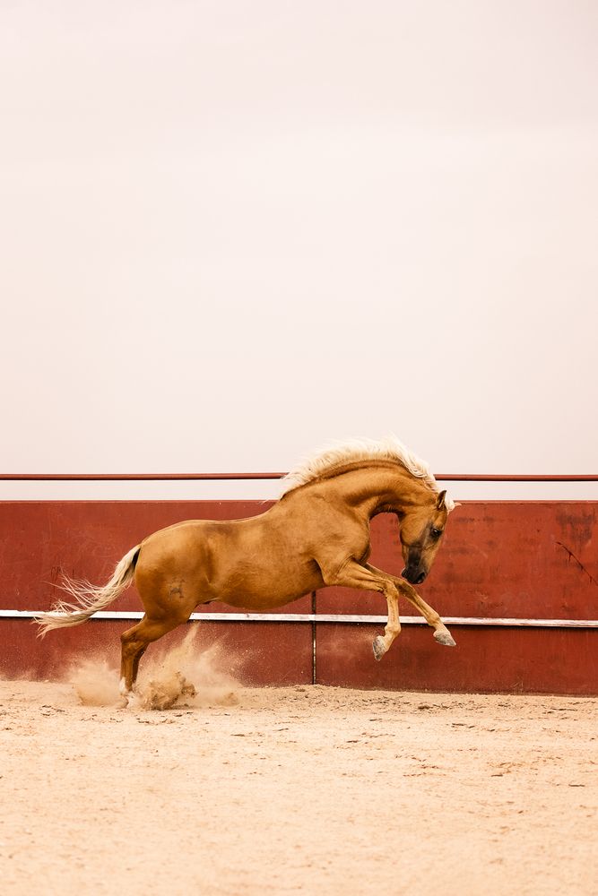 Фотография автора Fabienne Gassmann